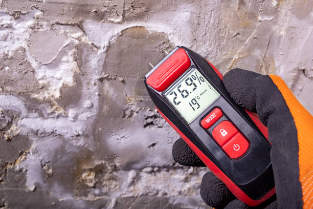 Best Mold Testing  in Southworth, WA