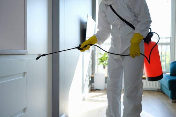 Best Local Mold Removal Service  in Southworth, WA